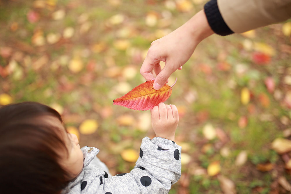 1歳～1歳半｜おすすめの秋の外遊び「落ち葉遊びを楽しもう」