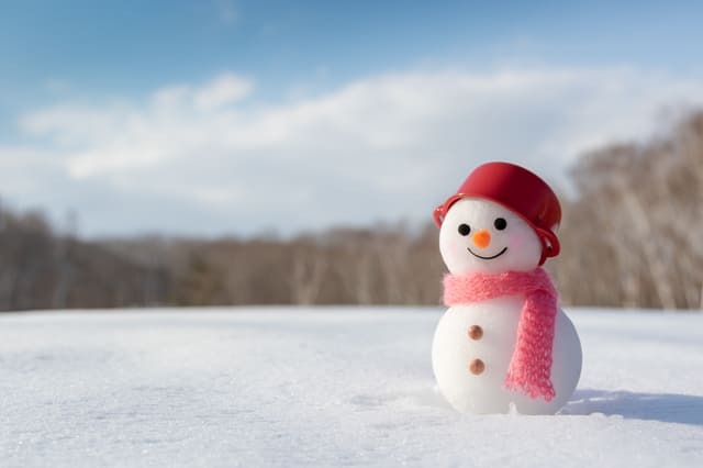 2歳児と遊ぶのにおすすめの雪遊び