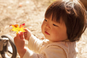 0歳児でも安心！保育士が教える初めての落ち葉遊びガイド