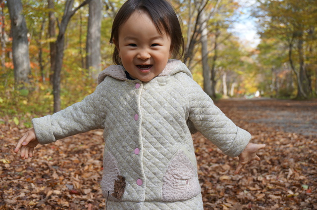 2歳児でも安心！落ち葉遊びの始め方｜保育士が教える季節の自然遊び